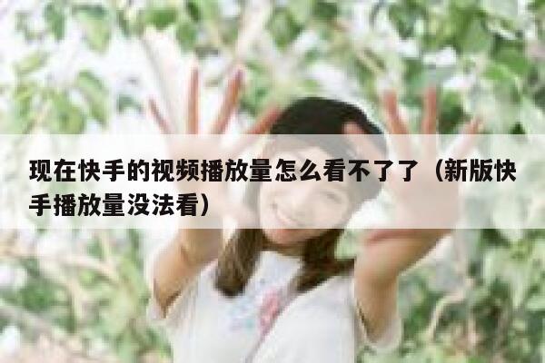 现在快手的视频播放量怎么看不了了（新版快手播放量没法看） 第1张