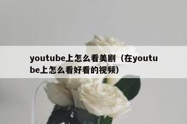 youtube上怎么看美剧（在youtube上怎么看好看的视频） 第1张