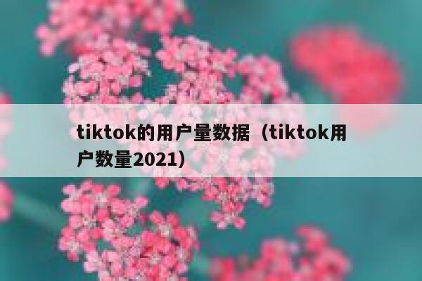 tiktok的用户量数据（tiktok用户数量2021） 第1张