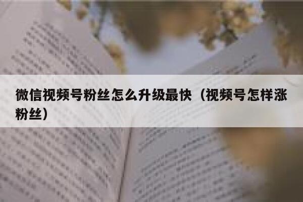 微信视频号粉丝怎么升级最快（视频号怎样涨粉丝） 第1张