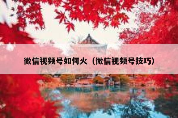 微信视频号如何火（微信视频号技巧） 第1张