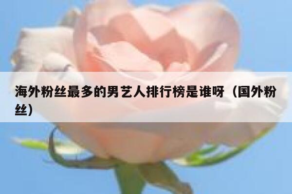 海外粉丝最多的男艺人排行榜是谁呀（国外粉丝） 第1张