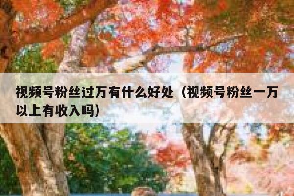 视频号粉丝过万有什么好处（视频号粉丝一万以上有收入吗） 第1张