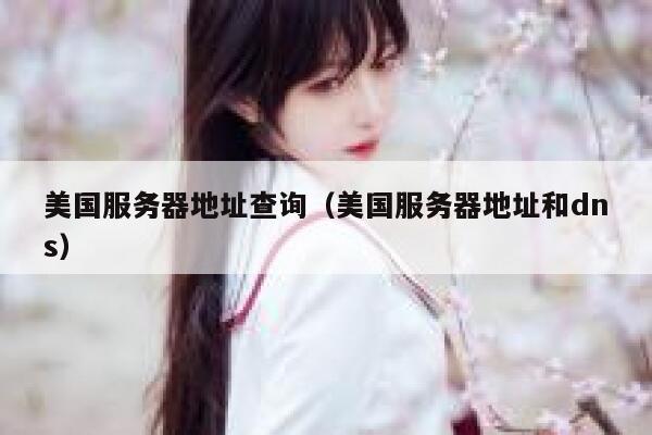 美国服务器地址查询（美国服务器地址和dns） 第1张