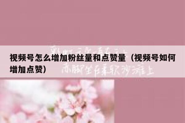 视频号怎么增加粉丝量和点赞量（视频号如何增加点赞） 第1张