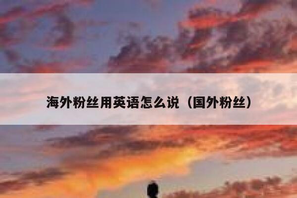 海外粉丝用英语怎么说（国外粉丝） 第1张
