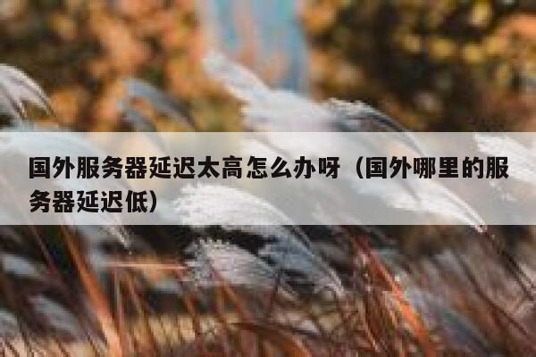 国外服务器延迟太高怎么办呀（国外哪里的服务器延迟低） 第1张