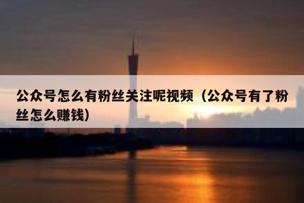 公众号怎么有粉丝关注呢视频（公众号有了粉丝怎么赚钱） 第1张