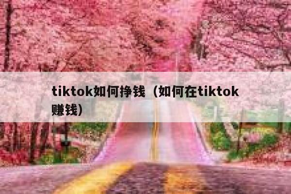 tiktok如何挣钱（如何在tiktok赚钱） 第1张