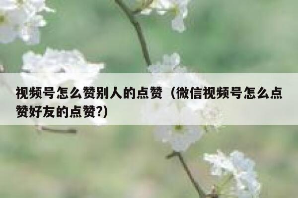 视频号怎么赞别人的点赞（微信视频号怎么点赞好友的点赞?） 第1张