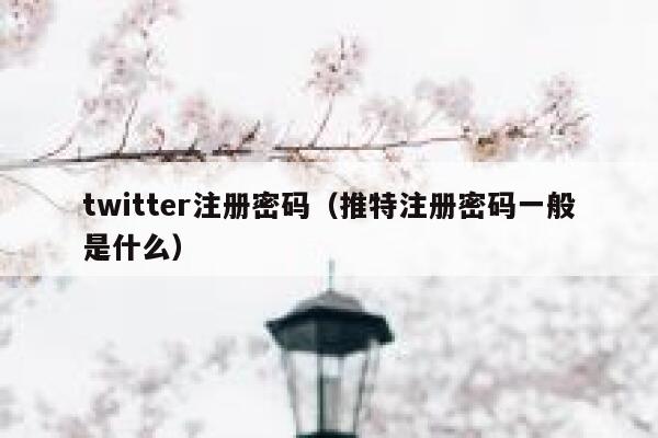 twitter注册密码（推特注册密码一般是什么） 第1张