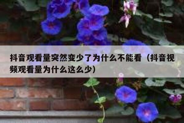 抖音观看量突然变少了为什么不能看（抖音视频观看量为什么这么少） 第1张