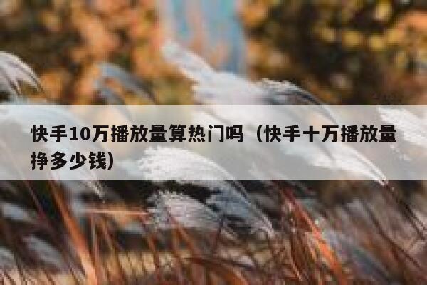 快手10万播放量算热门吗（快手十万播放量挣多少钱） 第1张