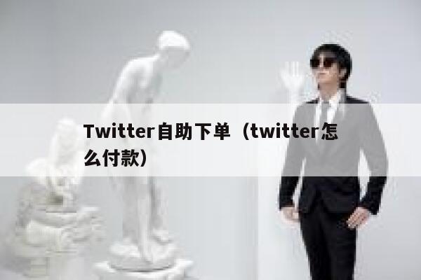 Twitter自助下单（twitter怎么付款） 第1张