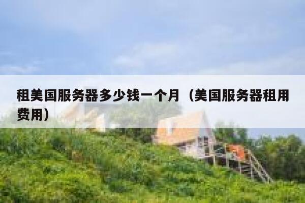 租美国服务器多少钱一个月（美国服务器租用费用） 第1张