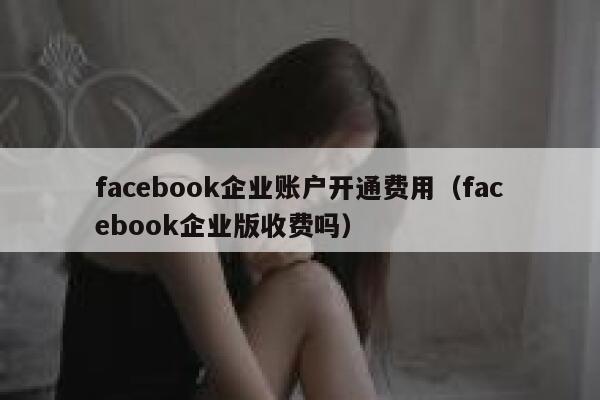 facebook企业账户开通费用（facebook企业版收费吗） 第1张