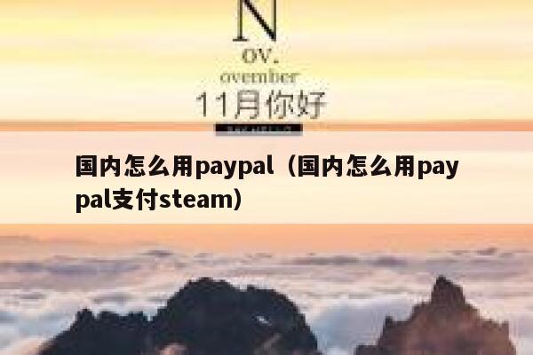国内怎么用paypal（国内怎么用paypal支付steam） 第1张