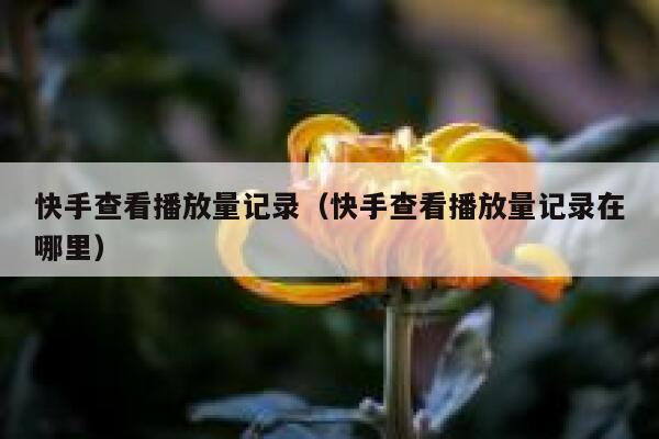 快手查看播放量记录（快手查看播放量记录在哪里） 第1张