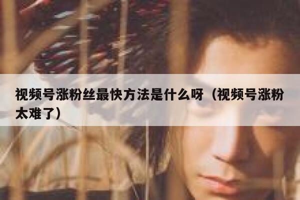 视频号涨粉丝最快方法是什么呀（视频号涨粉太难了） 第1张