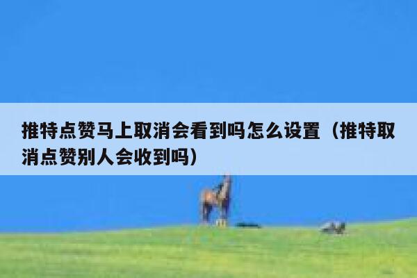 推特点赞马上取消会看到吗怎么设置（推特取消点赞别人会收到吗） 第1张