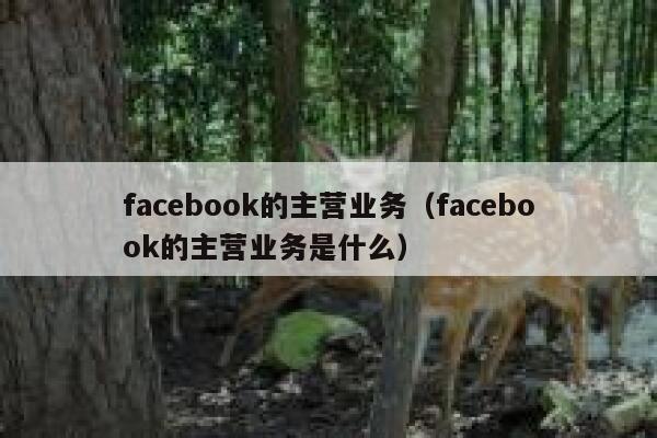 facebook的主营业务（facebook的主营业务是什么） 第1张