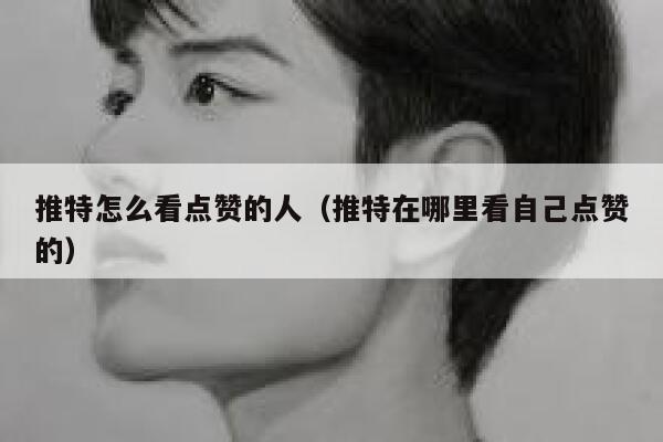 推特怎么看点赞的人（推特在哪里看自己点赞的） 第1张