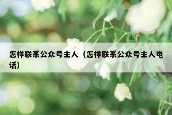 怎样联系公众号主人（怎样联系公众号主人电话） 第1张