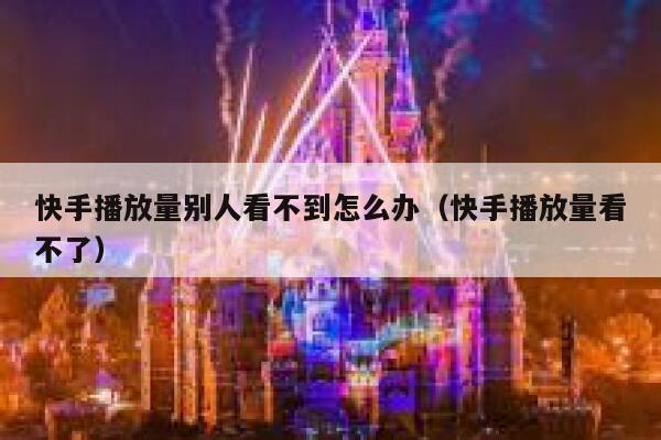 快手播放量别人看不到怎么办（快手播放量看不了） 第1张