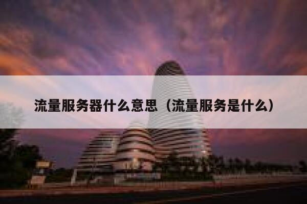 流量服务器什么意思（流量服务是什么） 第1张