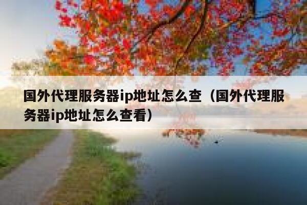 国外代理服务器ip地址怎么查（国外代理服务器ip地址怎么查看） 第1张