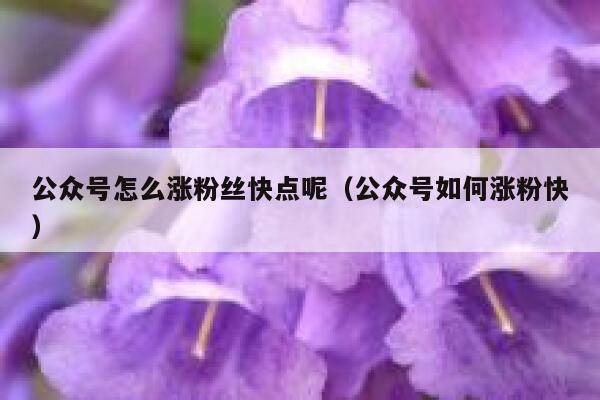 公众号怎么涨粉丝快点呢（公众号如何涨粉快） 第1张