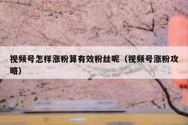 视频号怎样涨粉算有效粉丝呢（视频号涨粉攻略） 第1张