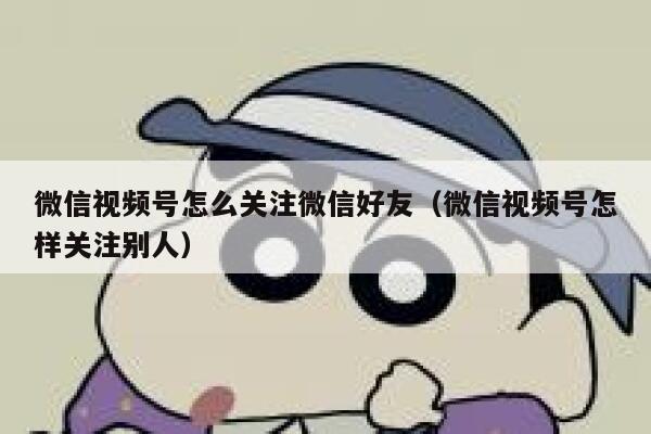 微信视频号怎么关注微信好友（微信视频号怎样关注别人） 第1张