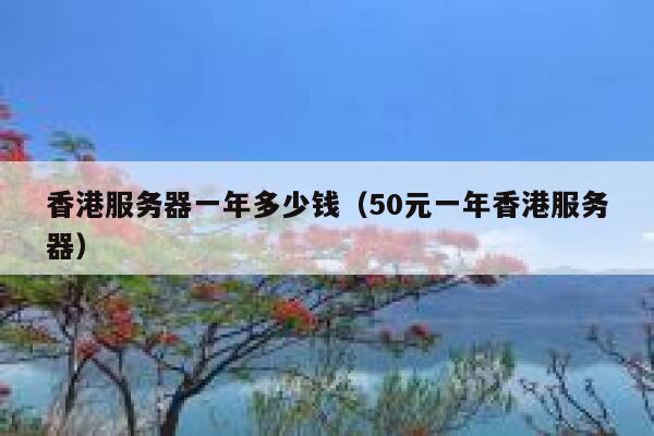 香港服务器一年多少钱（50元一年香港服务器） 第1张
