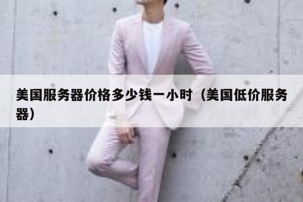 美国服务器价格多少钱一小时（美国低价服务器） 第1张