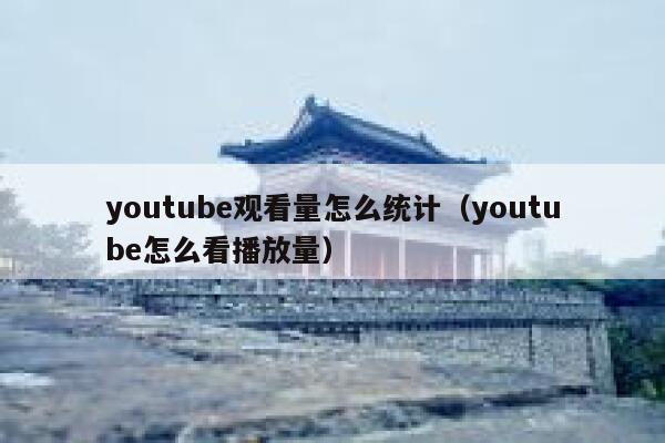 youtube观看量怎么统计（youtube怎么看播放量） 第1张