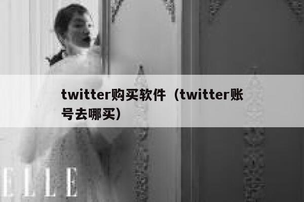 twitter购买软件（twitter账号去哪买） 第1张