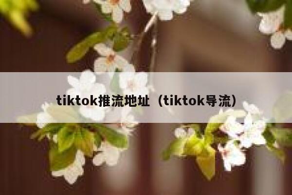 tiktok推流地址（tiktok导流） 第1张
