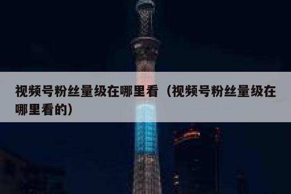视频号粉丝量级在哪里看（视频号粉丝量级在哪里看的） 第1张