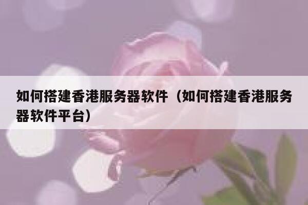 如何搭建香港服务器软件（如何搭建香港服务器软件平台） 第1张