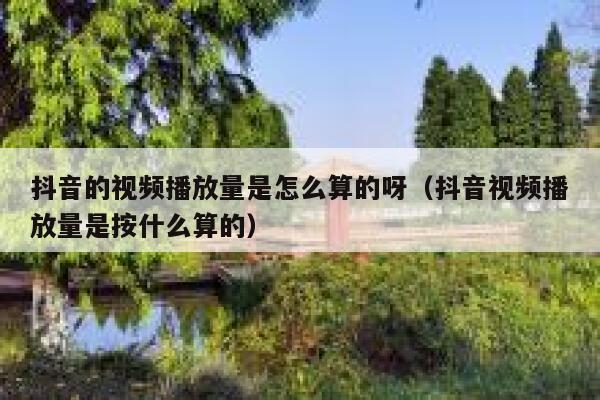 抖音的视频播放量是怎么算的呀（抖音视频播放量是按什么算的） 第1张