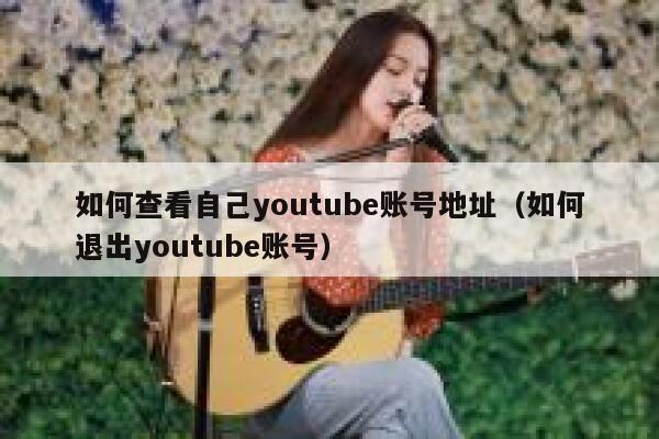 如何查看自己youtube账号地址（如何退出youtube账号） 第1张