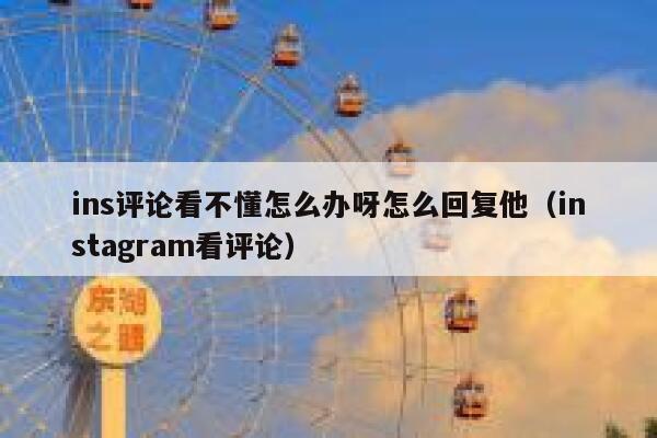 ins评论看不懂怎么办呀怎么回复他（instagram看评论） 第1张