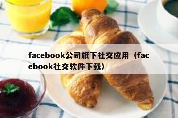 facebook公司旗下社交应用（facebook社交软件下载） 第1张