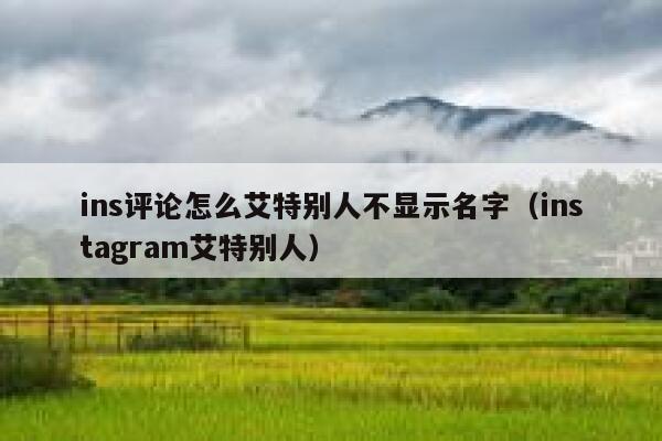 ins评论怎么艾特别人不显示名字（instagram艾特别人） 第1张