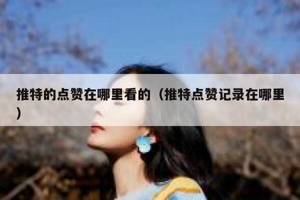 推特的点赞在哪里看的（推特点赞记录在哪里） 第1张