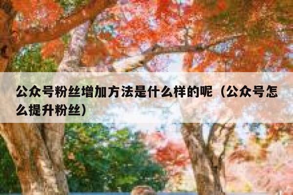 公众号粉丝增加方法是什么样的呢（公众号怎么提升粉丝） 第1张