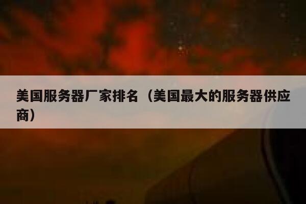 美国服务器厂家排名（美国最大的服务器供应商） 第1张