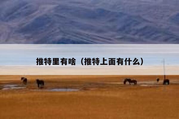 推特里有啥（推特上面有什么） 第1张