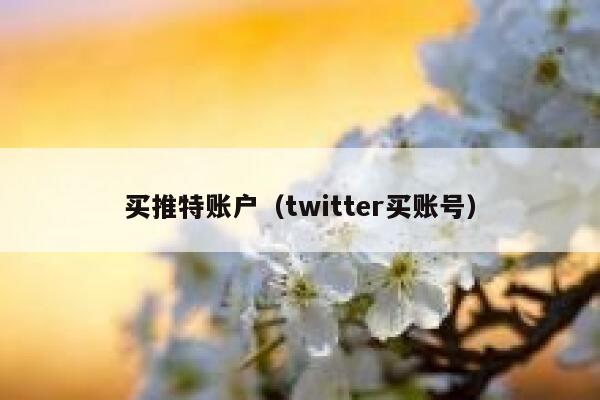买推特账户（twitter买账号） 第1张